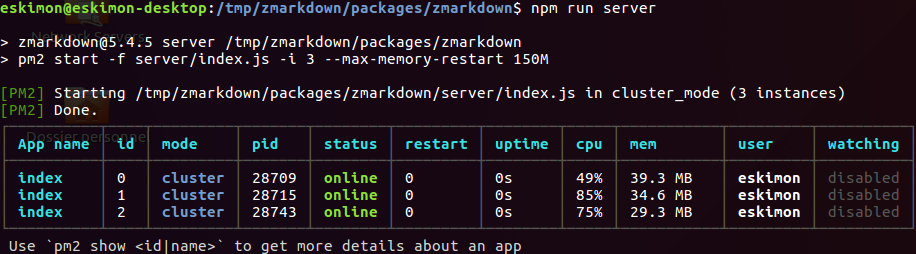 npm run server